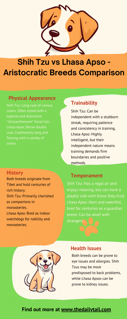 Shih Tzu Vs Lhasa Apso - Aristocratic Breeds Comparison