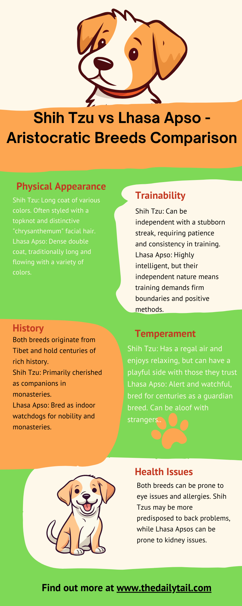 shih tzu vs lhasa apso infographic