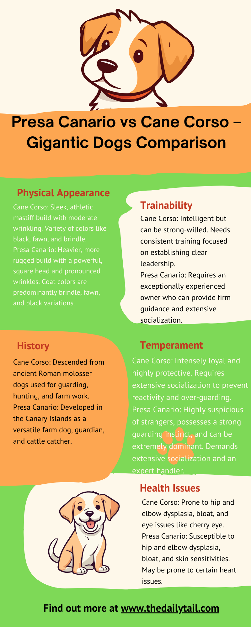 cane corso vs presa canario infographic