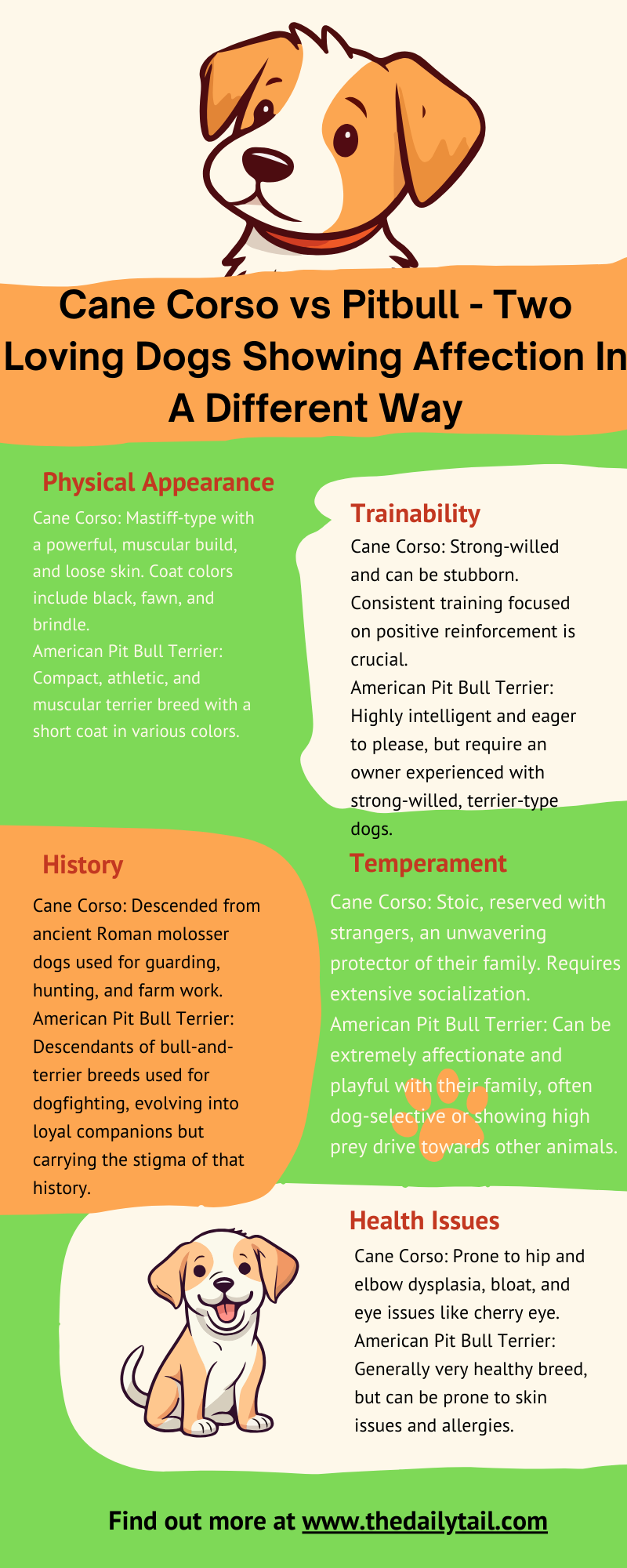 cane corso vs pitbull infographic