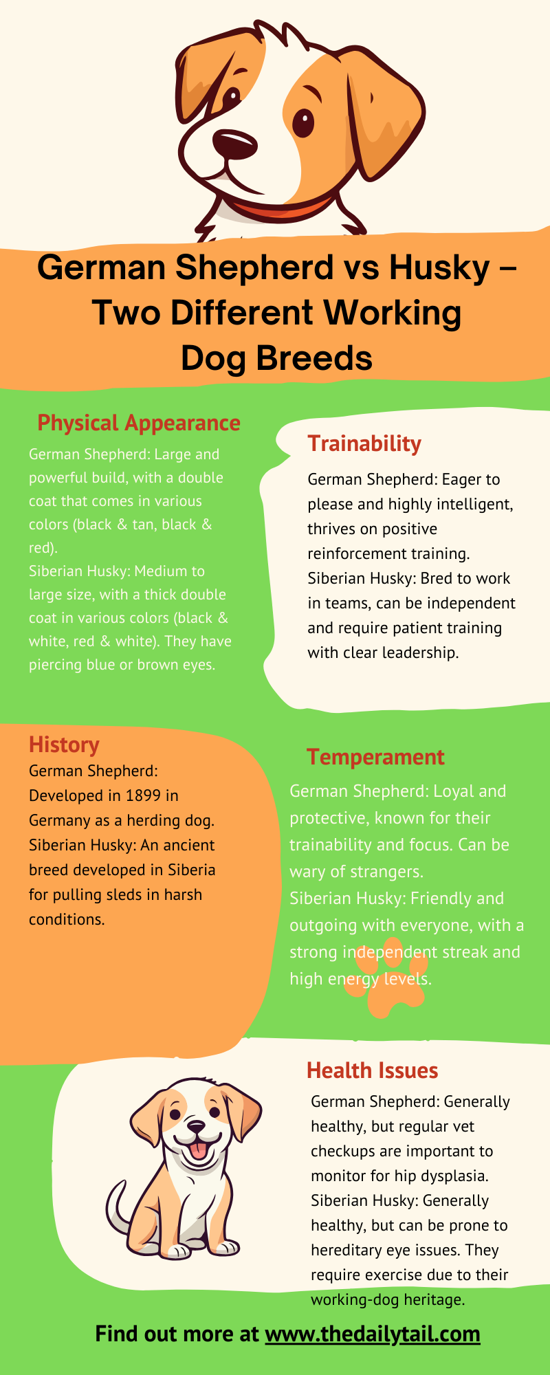 german shepherd vs husky infographic