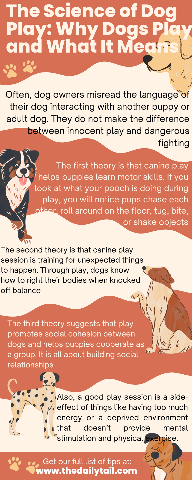 dog play infographic