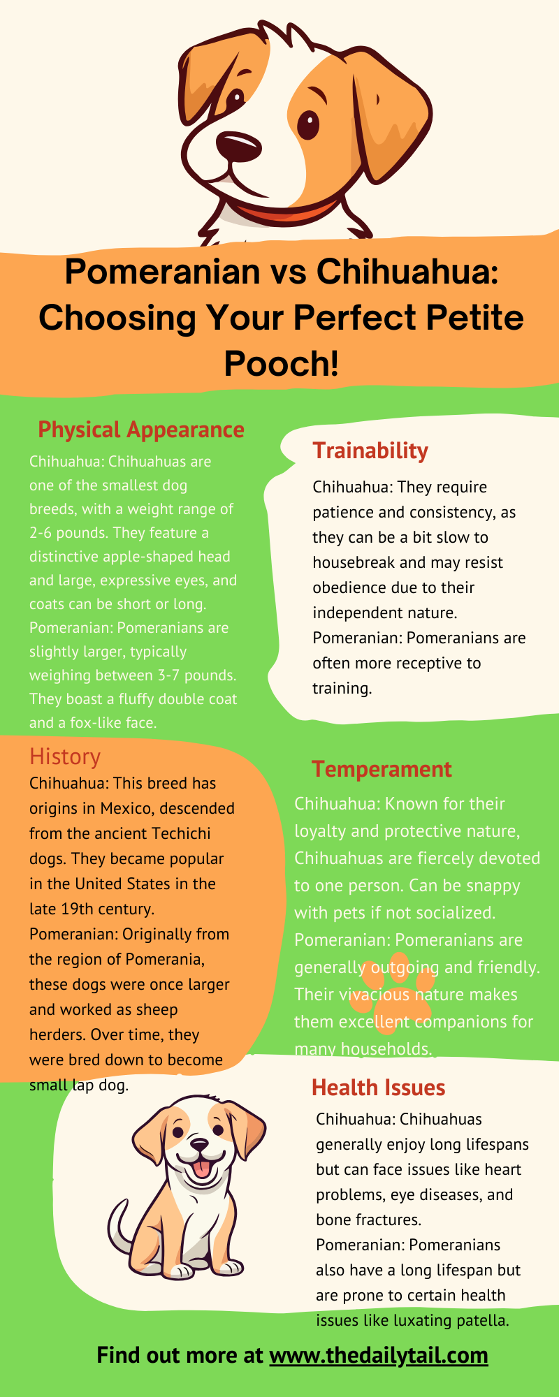 chihuahua vs pomeranian infographic