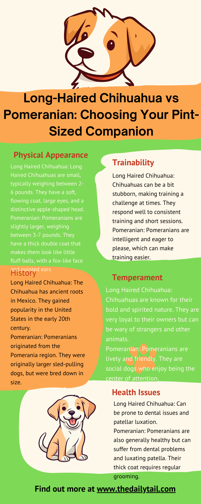 long haired chihuahua vs pomeranian infographic