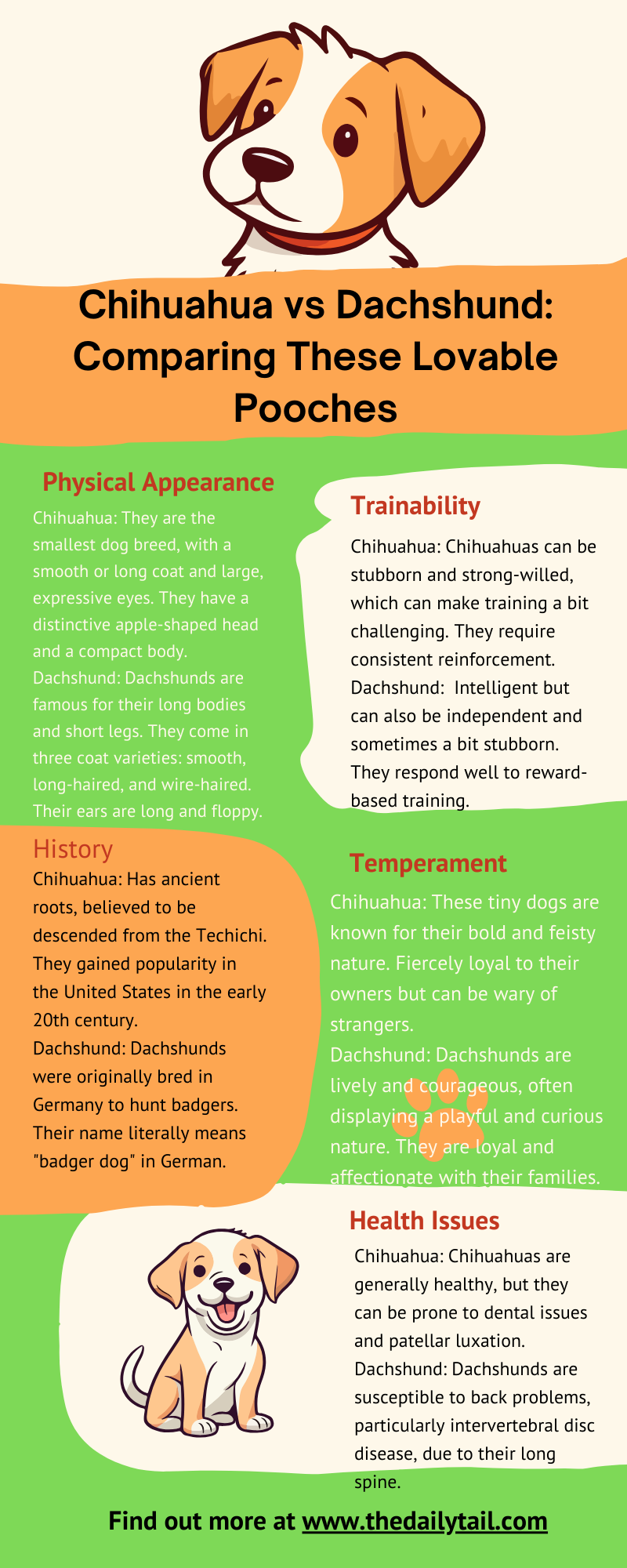 chihuahua vs dachshund infographic