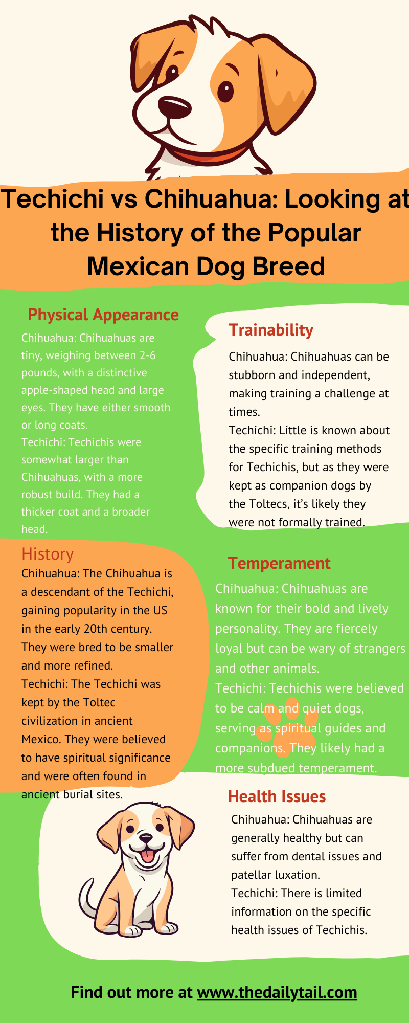 chihuahua vs techichi infographic