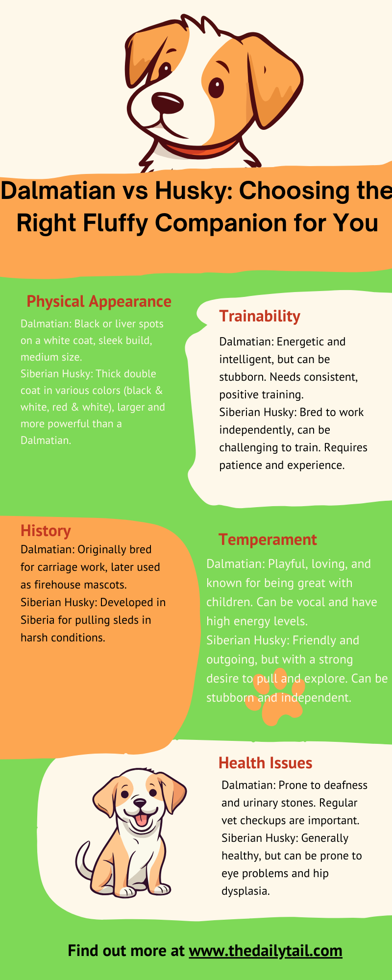 dalmatian vs husky infographic