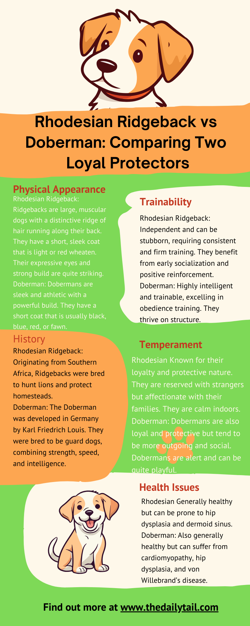 rhodesian ridgeback vs doberman infographic