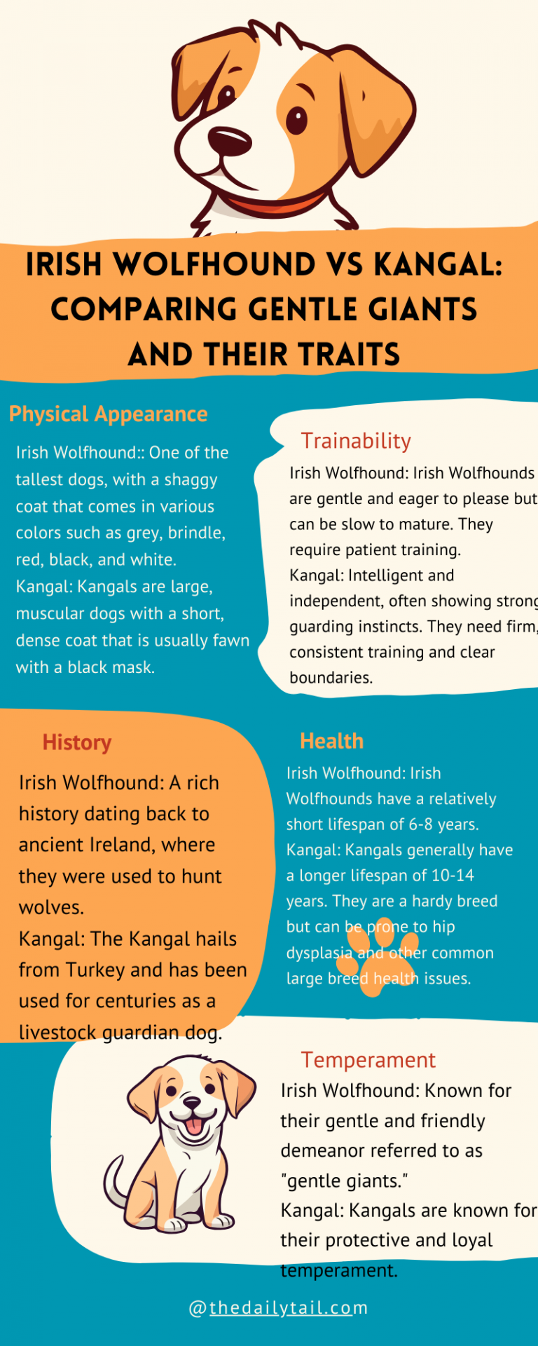 Irish Wolfhound Vs Kangal: Comparing Gentle Giants And Their Traits