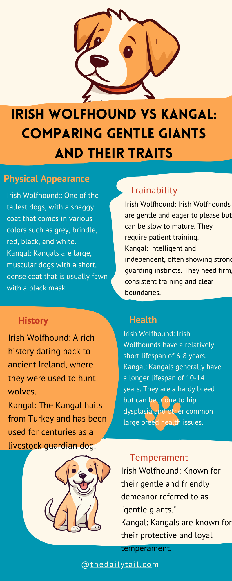 irish wolfhound vs kangal infographic