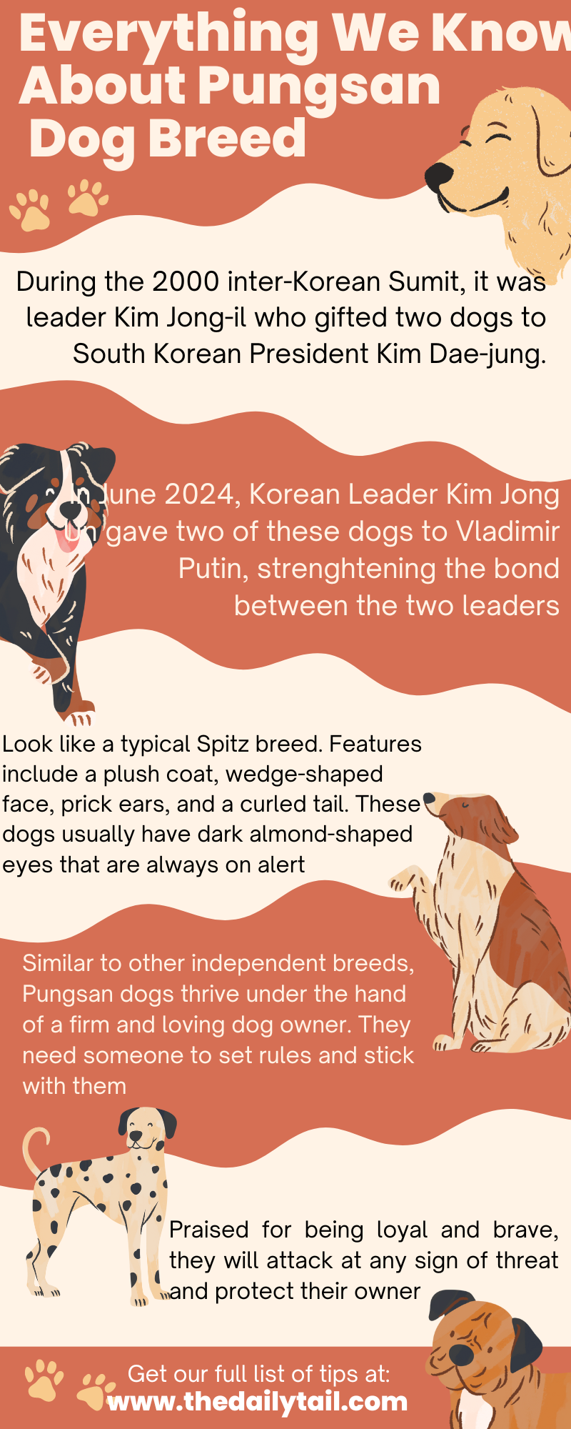 pungsan dog infographic