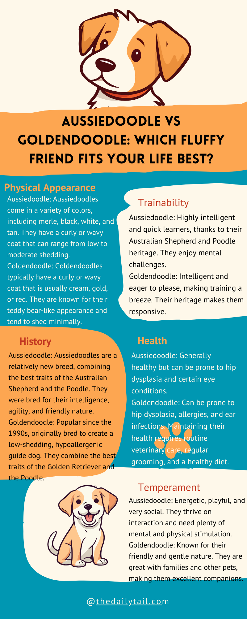 Aussiedoodle vs Goldendoodle infographic