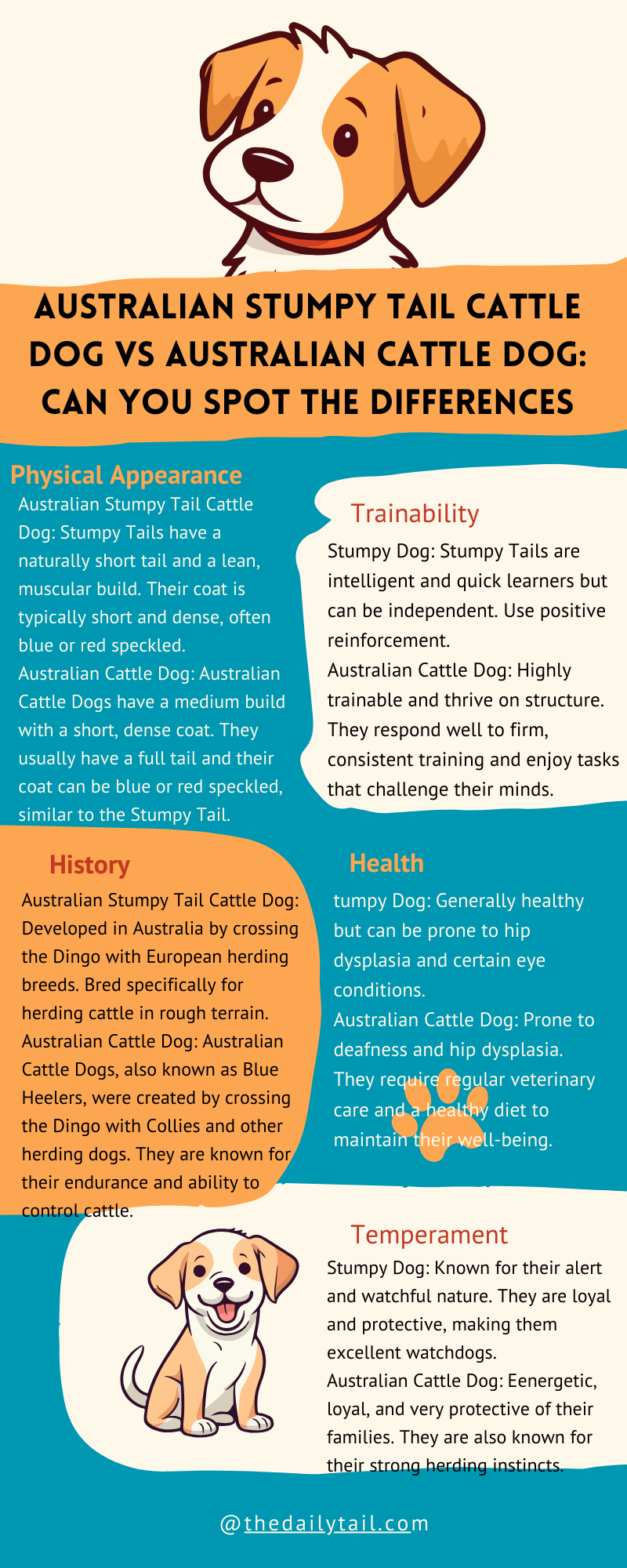 Australian Stumpy Tail Cattle Dog vs Australian Cattle Dog infographic