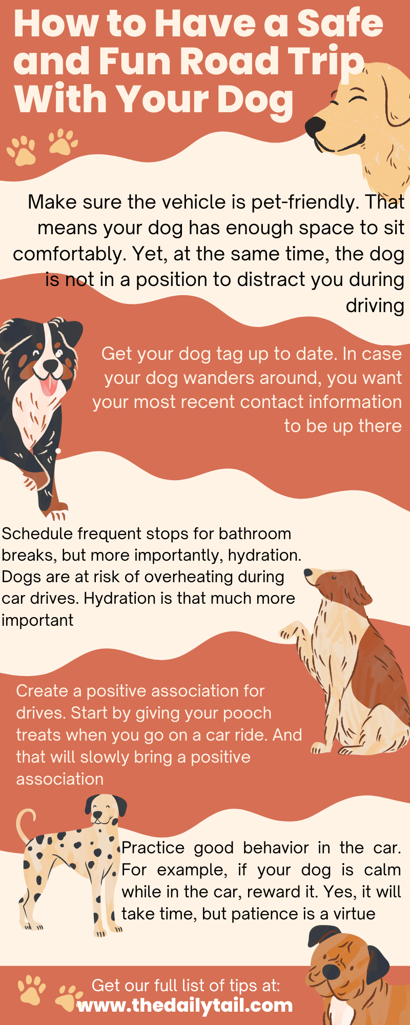 how to have a safe and fun road trip with your dog infographic