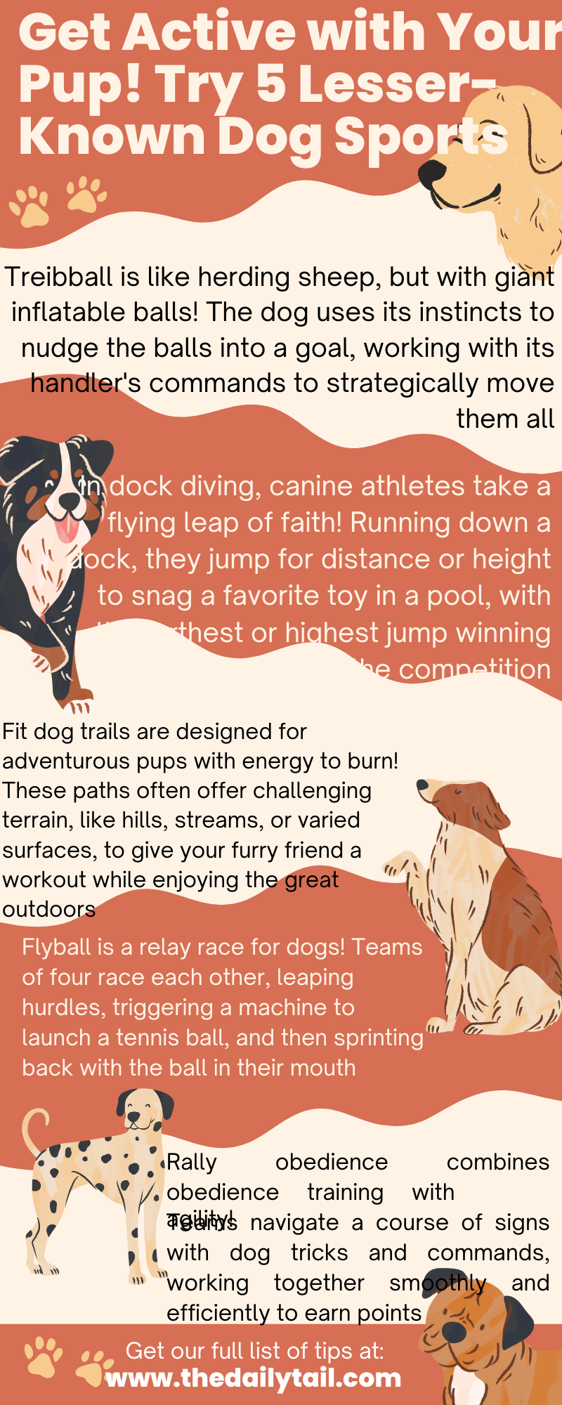 lesser known dog sports infographic