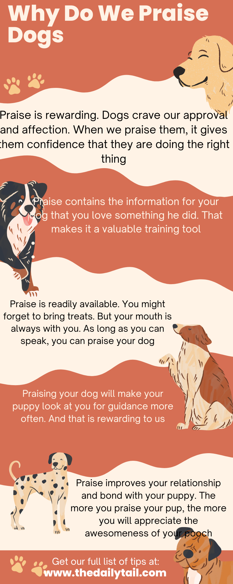 why do we praise dogs infographic