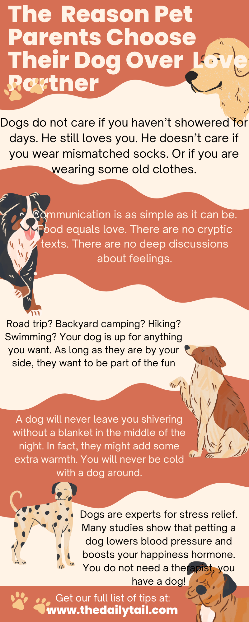 the truth about dog people infographic