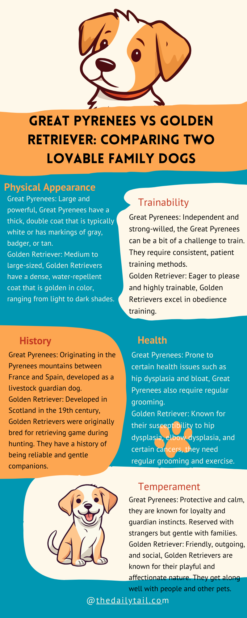 great pyrenees vs golden retriever infographic