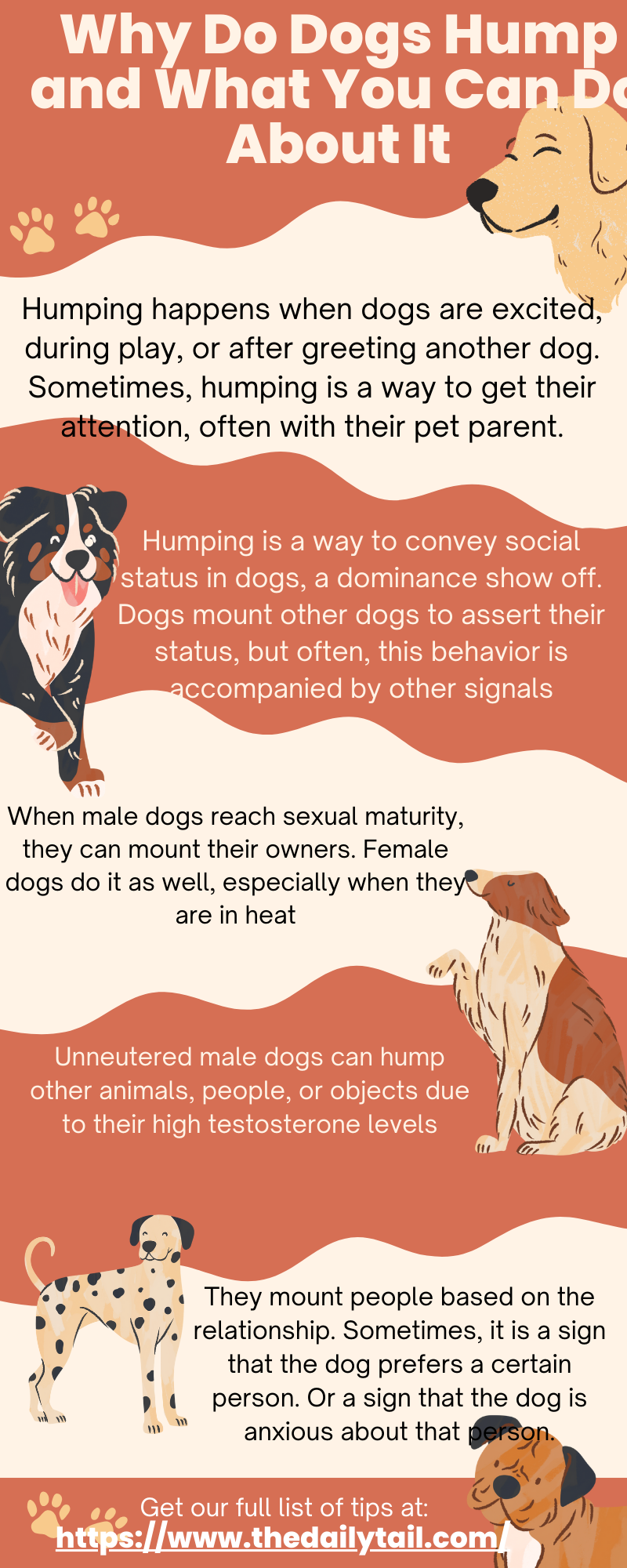 why do dogs hump infographic