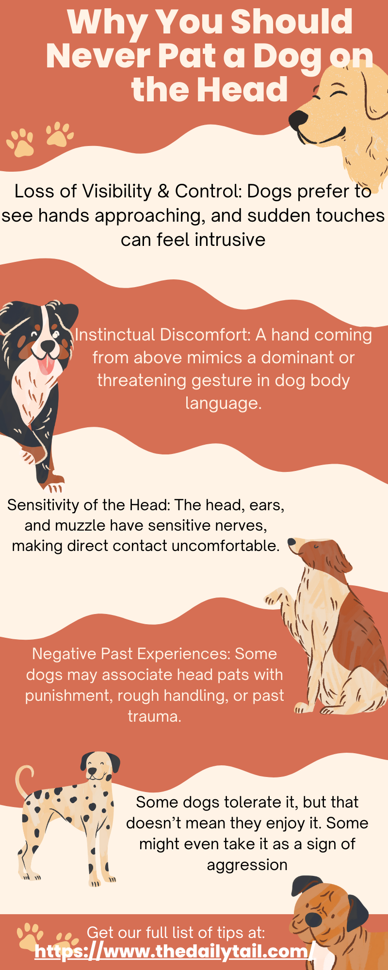 why you should not pat a dog on head infographic